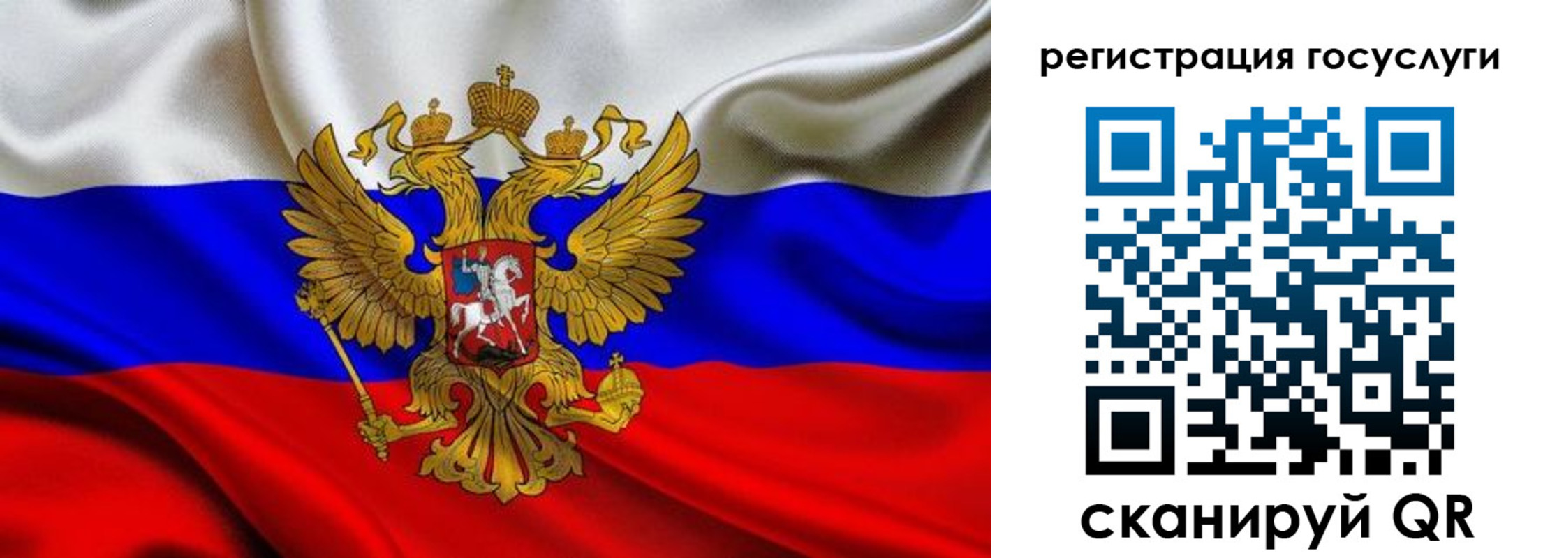 прописка гарантия в Мариинском Посаде